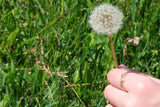 Antu ring